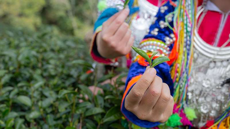 documentacion-viajar-a-ecuador