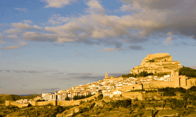 morella-w