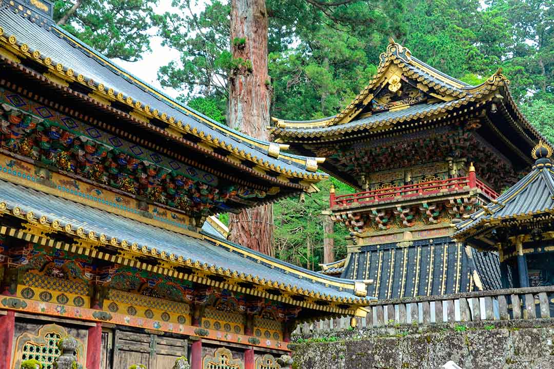 Disfruta de la arquitectura antigua en tu viaje a Japón.