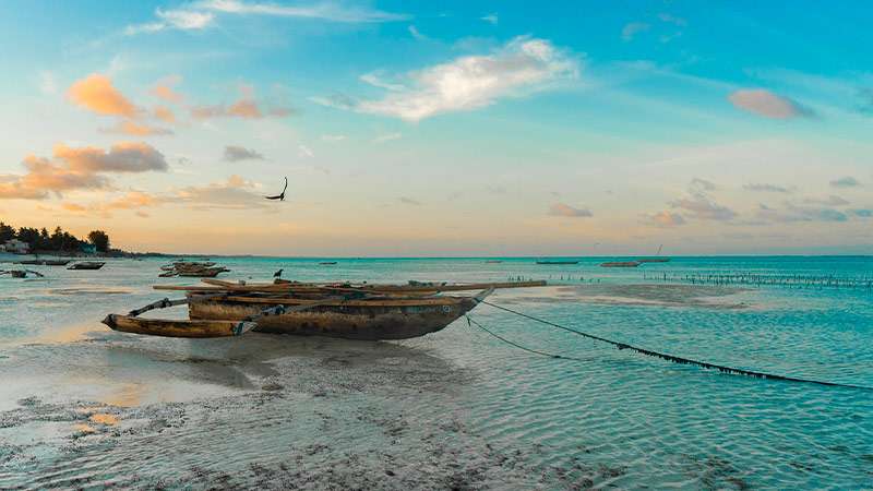 documentacion-viajar-a-zanzibar