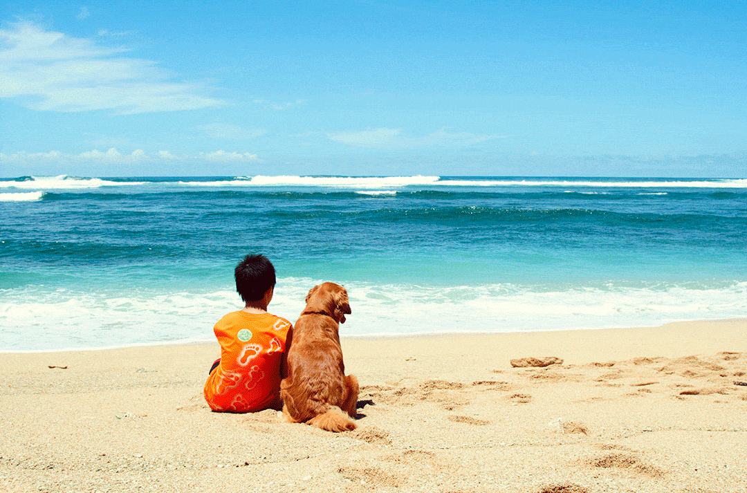 Le 5 migliori spiagge italiane per i vostri cani