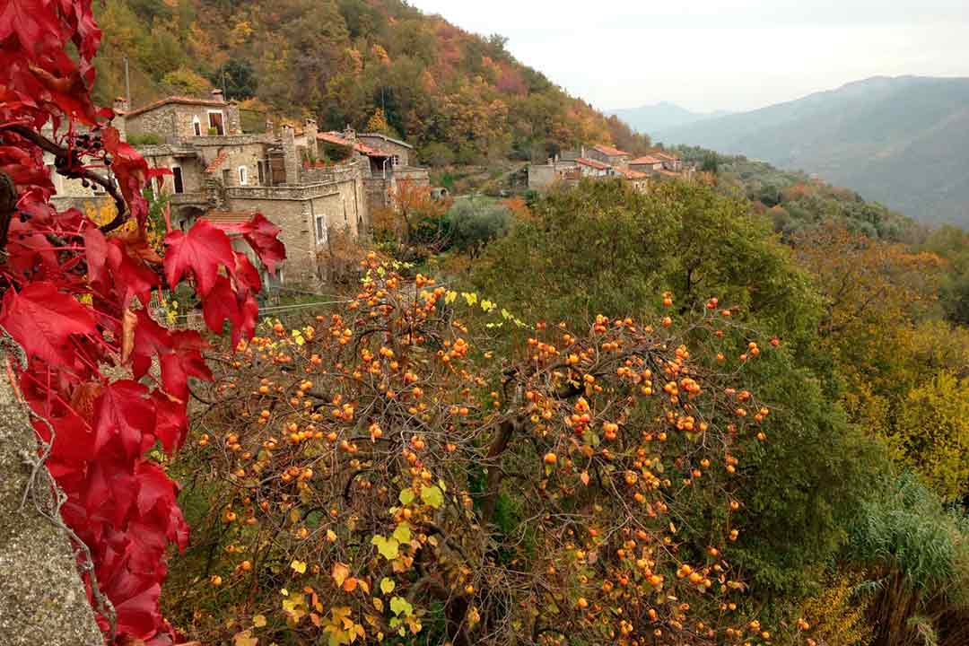 palola-in-viaggio-con-il-mio-bimbo