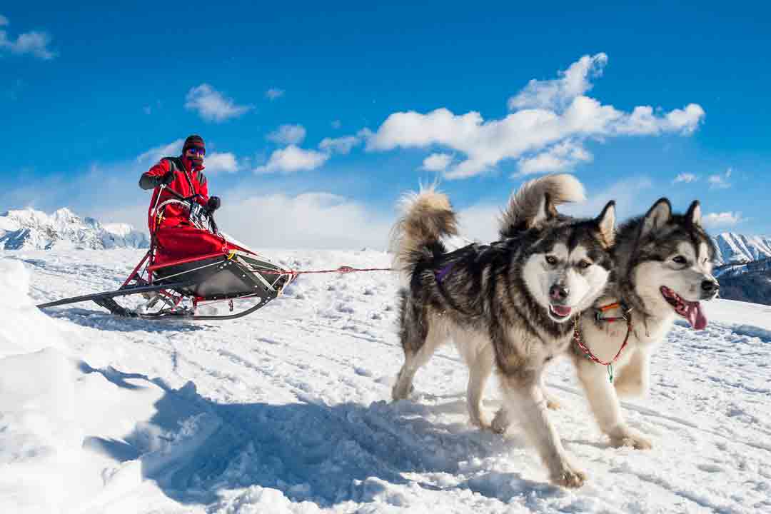 sport-neve