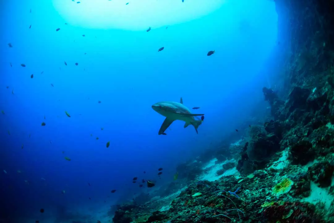 12 conselhos para viajar para as Filipinas em 2024