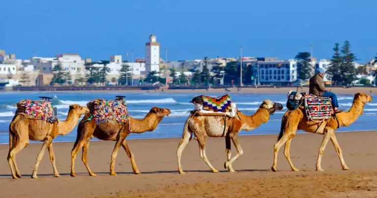 12 conselhos indispensáveis para viajar para Marrocos