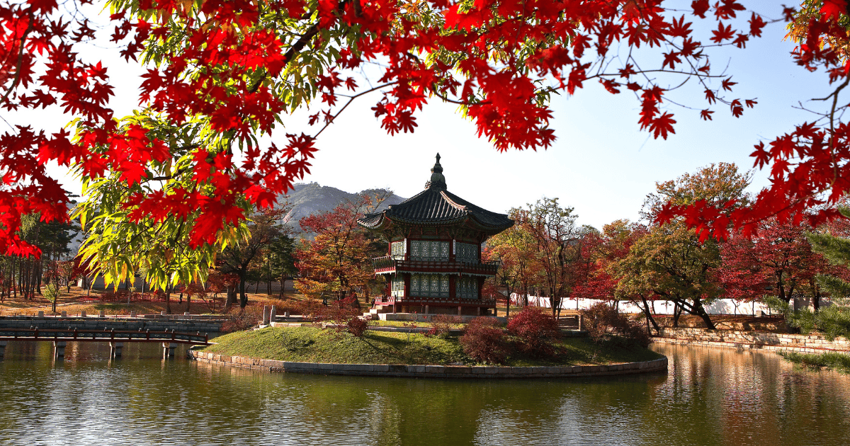 ¿Es seguro viajar a Corea del Sur? Guía completa de seguridad