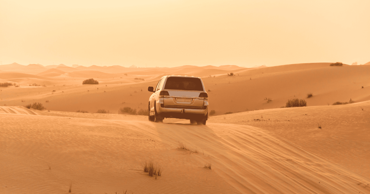 El clima suave y templado del invierno, con temperaturas que oscilan entre los 20 y 30°C, es ideal para disfrutar plenamente de las experiencias al aire libre que Dubái ofrece. Durante estos meses, un safari por el desierto no se vuelve una prueba de resistencia al calor, sino una aventura emocionante para explorar las dunas y la cultura beduina.