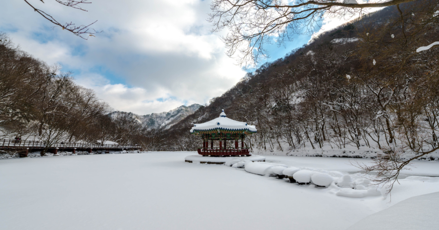 Viajar en invierno a Corea del Sur es ideal para disfrutar resorts como Yongpyong o Vivaldi Park ofrecen excelentes instalaciones y paisajes nevados.